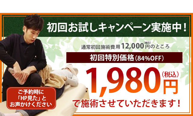 初回お試しキャンペーン実施中！通常12,000円のところ初回特別価格で84％OFFの1,980円